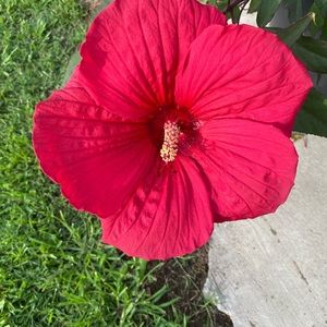 Meet your Posher, Judy